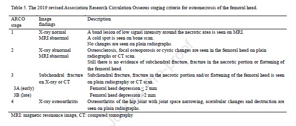 AVN Diagnosis Chart